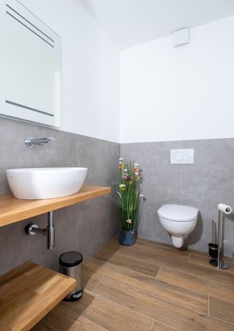 Ferienhaus Mountain View Six50 Mit Sauna Und Kamin In St. Andreasberg Sankt Andreasberg Buitenkant foto