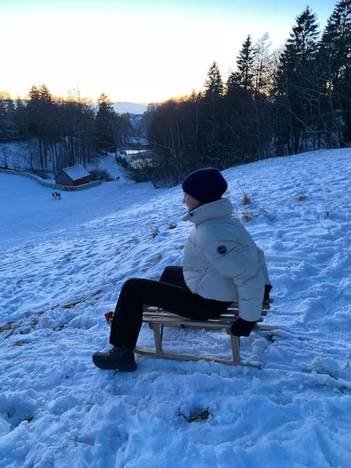 Ferienhaus Mountain View Six50 Mit Sauna Und Kamin In St. Andreasberg Sankt Andreasberg Buitenkant foto